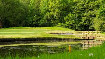 Downshire Golf Complex