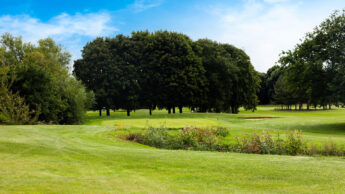 Golf green with a flagstick, surrounded by trees under a blue sky.