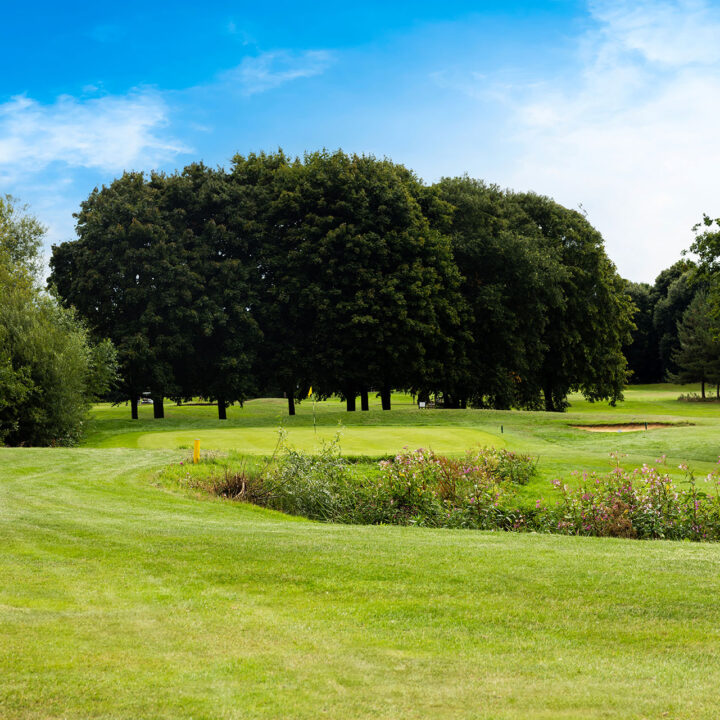 Golf green with a flagstick, surrounded by trees under a blue sky.