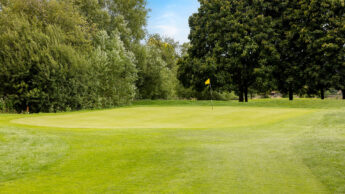 Golf green with a flagstick, surrounded by trees under a blue sky.