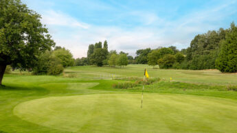 Golf course green with a yellow flag, surrounded by trees under a blue sky.