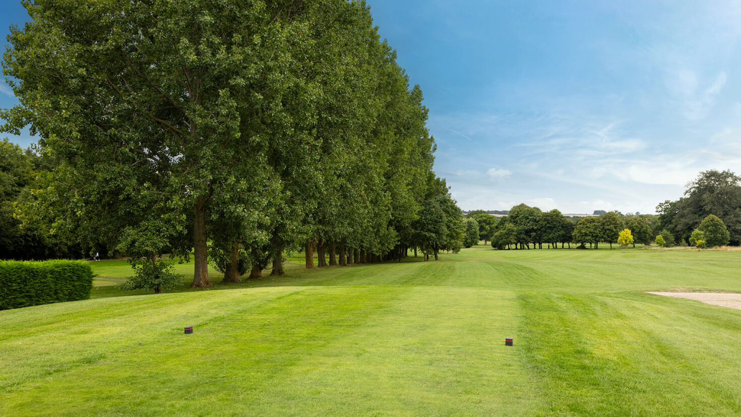 Golf course with green grass, trees lining the fairway, and a blue sky above.