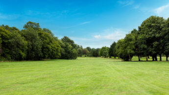A wide, open grassy field bordered by trees under a bright blue sky.