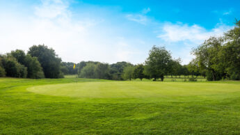 A golf green with a flagstick, surrounded by trees under a bright blue sky.