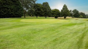A sunny golf course with green grass, trees, and a flag marking the hole.