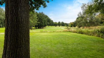A golf course with green grass, trees, and a bright blue sky.