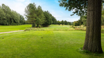 Green golf course with trees, grassy fairway, and a clear blue sky in the background.