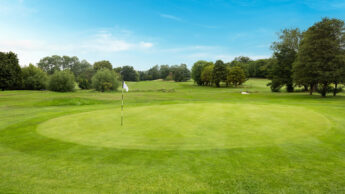 Golf course green with a flagstick, surrounded by trees under a blue sky.