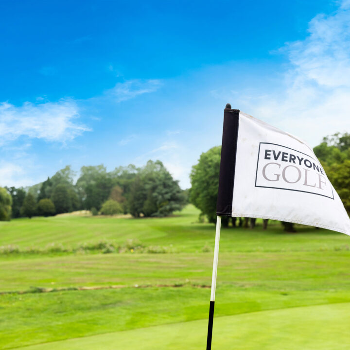 A golf flag with "Everyone Golf" text on a green course under a blue sky.