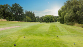A golf course fairway with trees and clear blue sky on a sunny day.