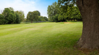 A golf course fairway with trees, a sand bunker, and a large tree in the foreground.