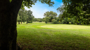 A golf course green surrounded by trees under a bright blue sky.