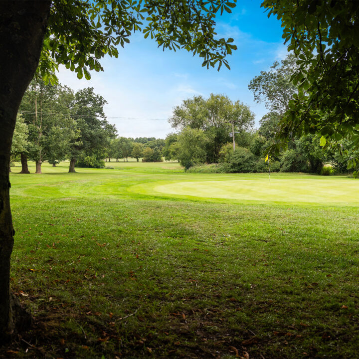 A golf course green surrounded by trees under a bright blue sky.