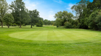Golf green with a flagstick, surrounded by trees under a blue sky.