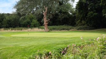 Golf green with a flag, surrounded by trees and wildflowers under a partly cloudy sky.