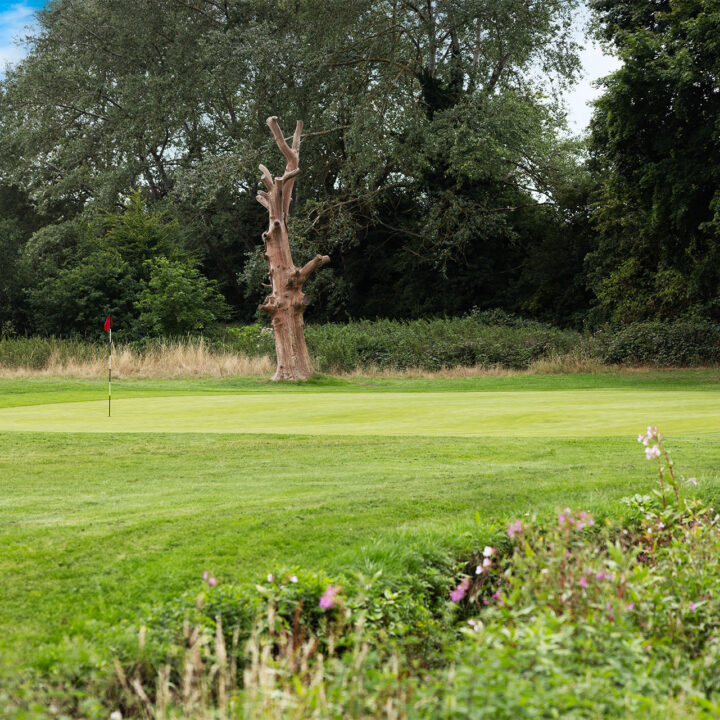 Golf green with a flag, surrounded by trees and wildflowers under a partly cloudy sky.