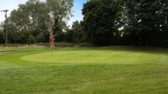 A golf green with a red flag, surrounded by trees and a blue sky.