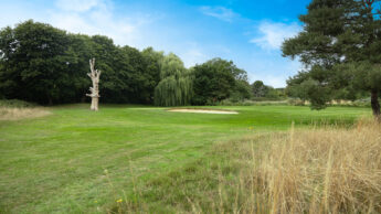 Golf course with a sand bunker, green grass, trees, and a clear blue sky.