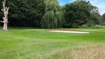 A golf course green with a sand bunker, surrounded by trees and tall grass.