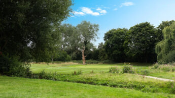 Green grassy field with trees under a blue sky, and a dirt path winding through the scene.