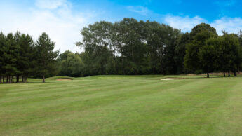 A green golf course with sand bunkers, trees, and a clear blue sky.