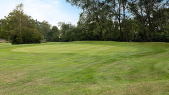 Green golf course with a flag on the putting green, surrounded by trees under a blue sky.