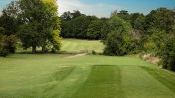 A green golf course with trees, a small bridge, and a clear blue sky.