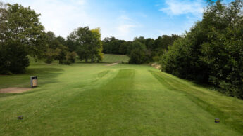 Green golf course fairway with trees and blue sky in the background.