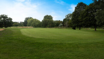 A golf course green surrounded by trees under a blue sky.