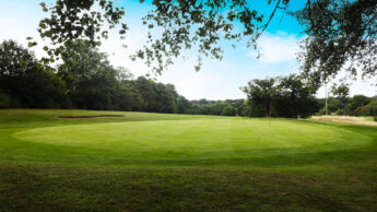 A golf green with a flag, surrounded by trees under a bright blue sky.