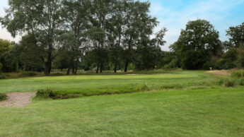 A grassy golf course with trees under a blue sky and a sand bunker near the flag.