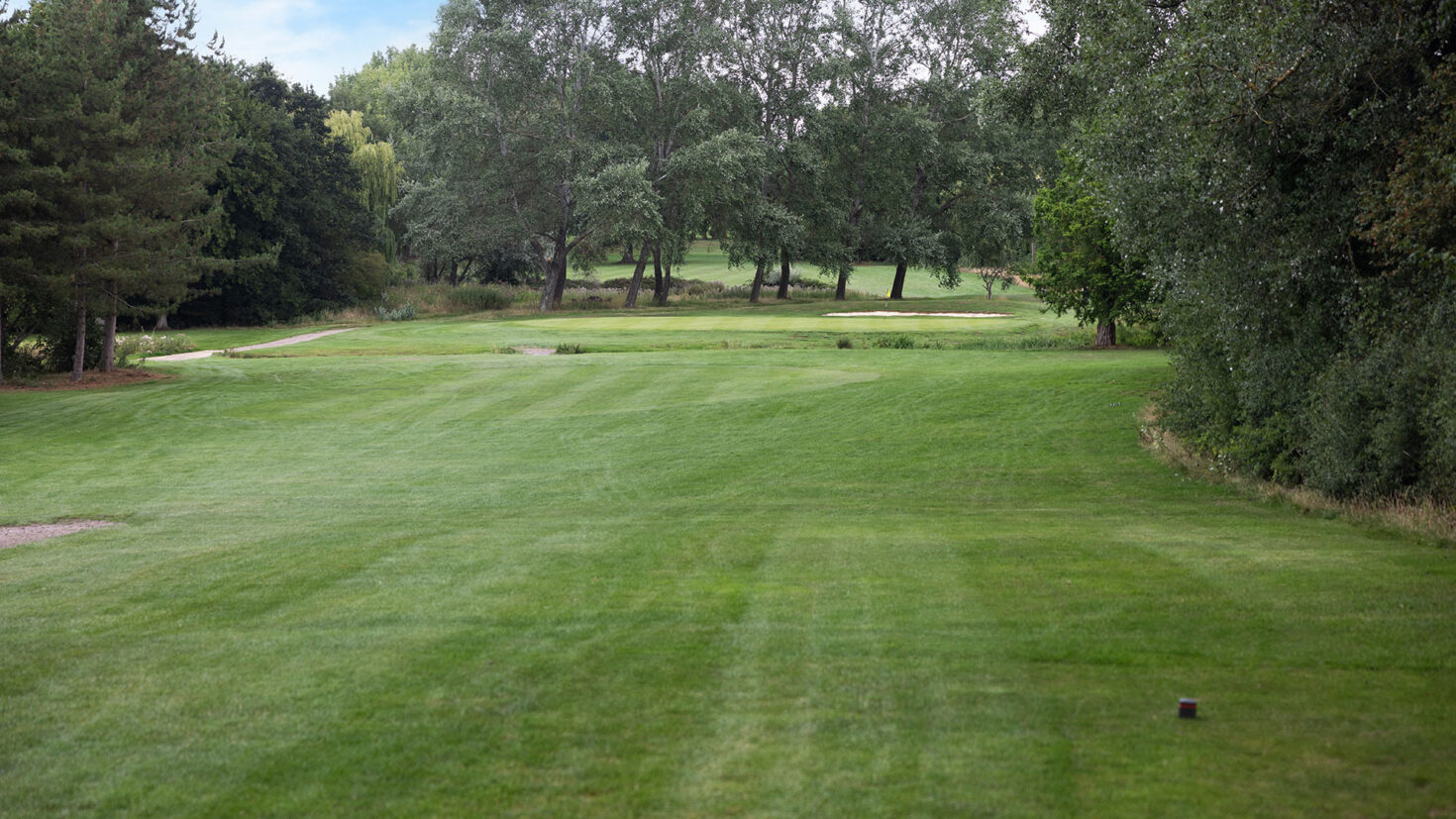 A green golf course with trees in the background under a partly cloudy sky.