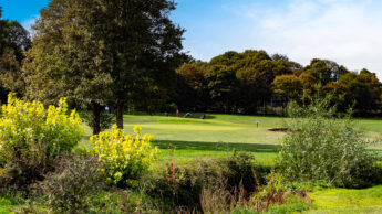 A view of a golf course green with a flagstick, framed by trees and bushes.
