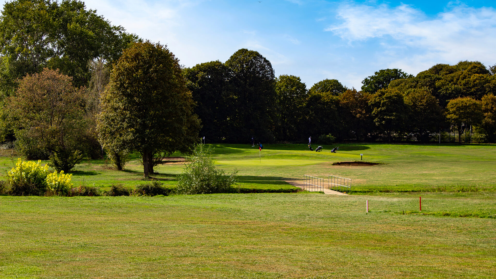 Golfers on a putting green surrounded by trees and a small bridge.