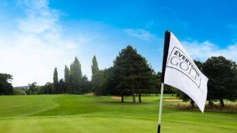 Golf course green with a flag labelled "Everyone Golf" and trees in the background under a blue sky.