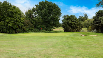 Golf green with a red flag surrounded by trees under a blue sky.