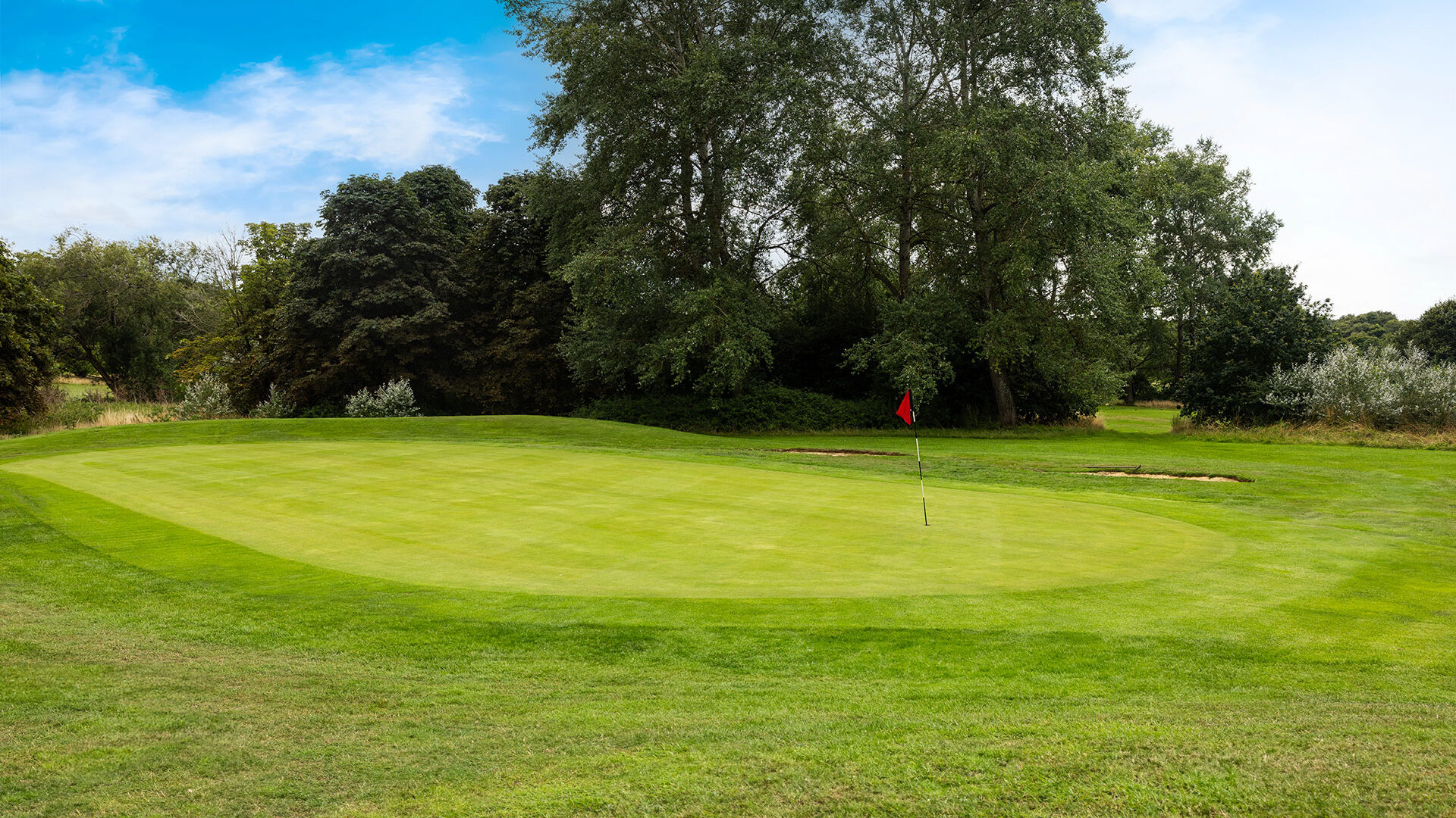 Golf green with a red flag, surrounded by trees and a blue sky.