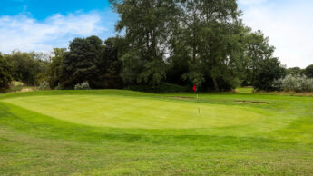 Golf green with a red flag, surrounded by trees and a blue sky.