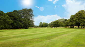 Sunny day over a large green field with trees and a bright blue sky.