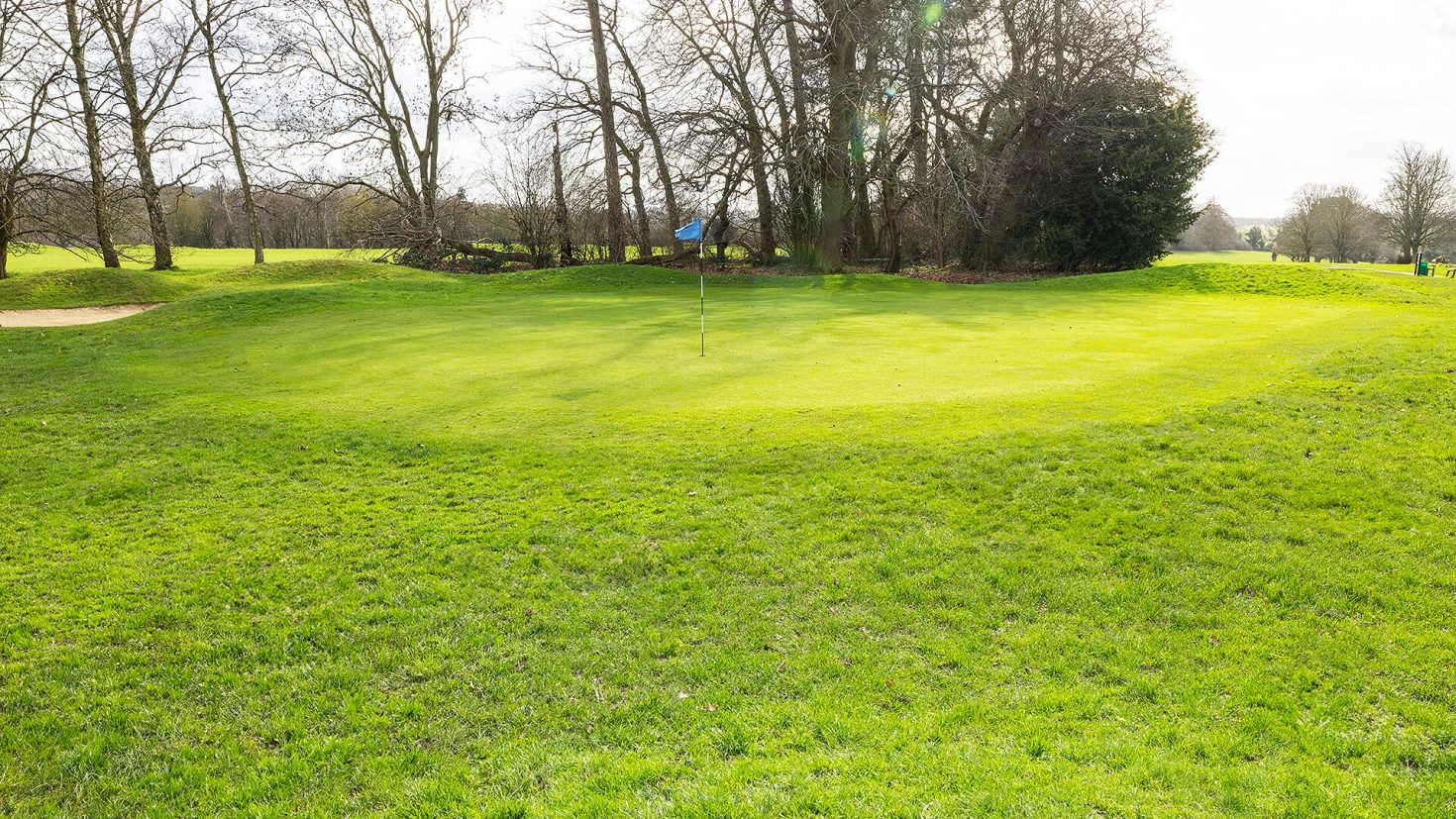 Batchwood Golf Course - Hole 16 Green