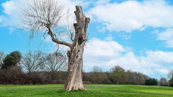 Batchwood Golf Course