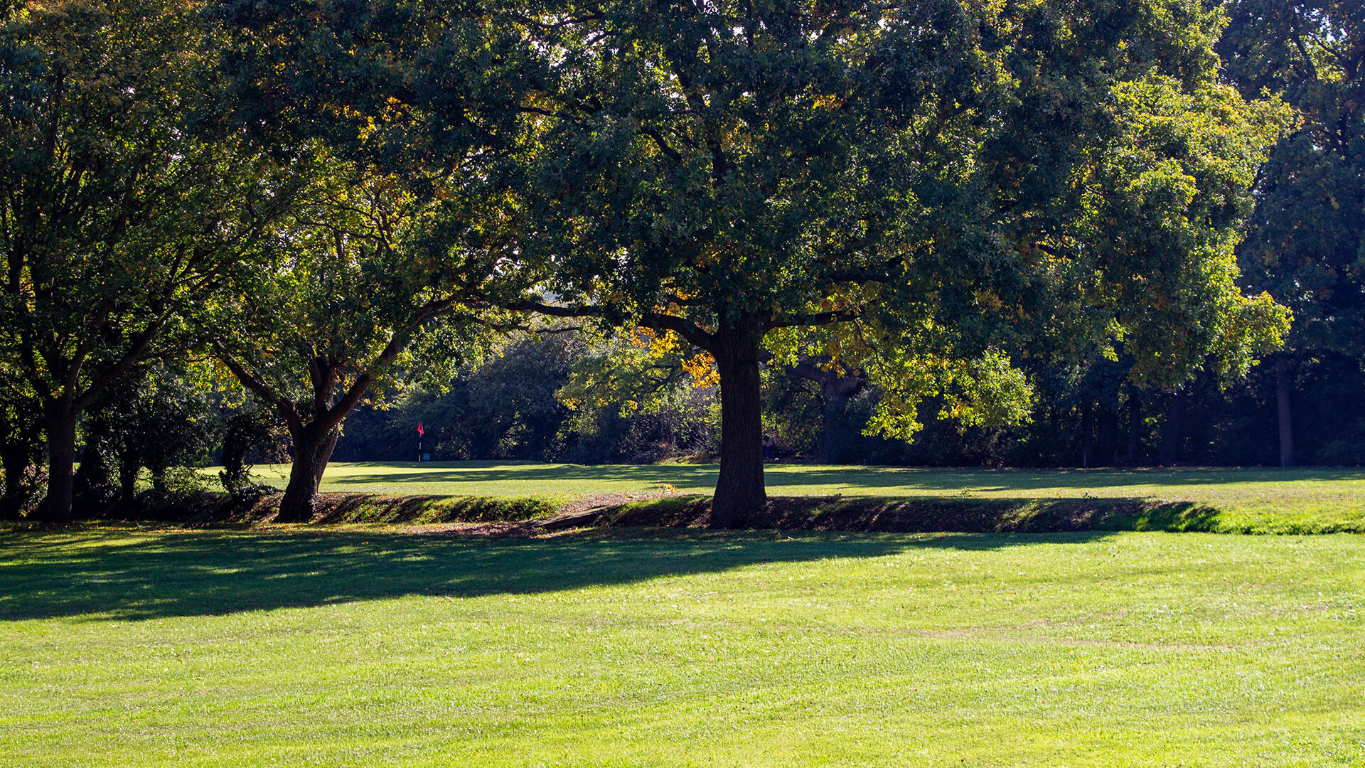 Brent Valley Golf Course Hole 11