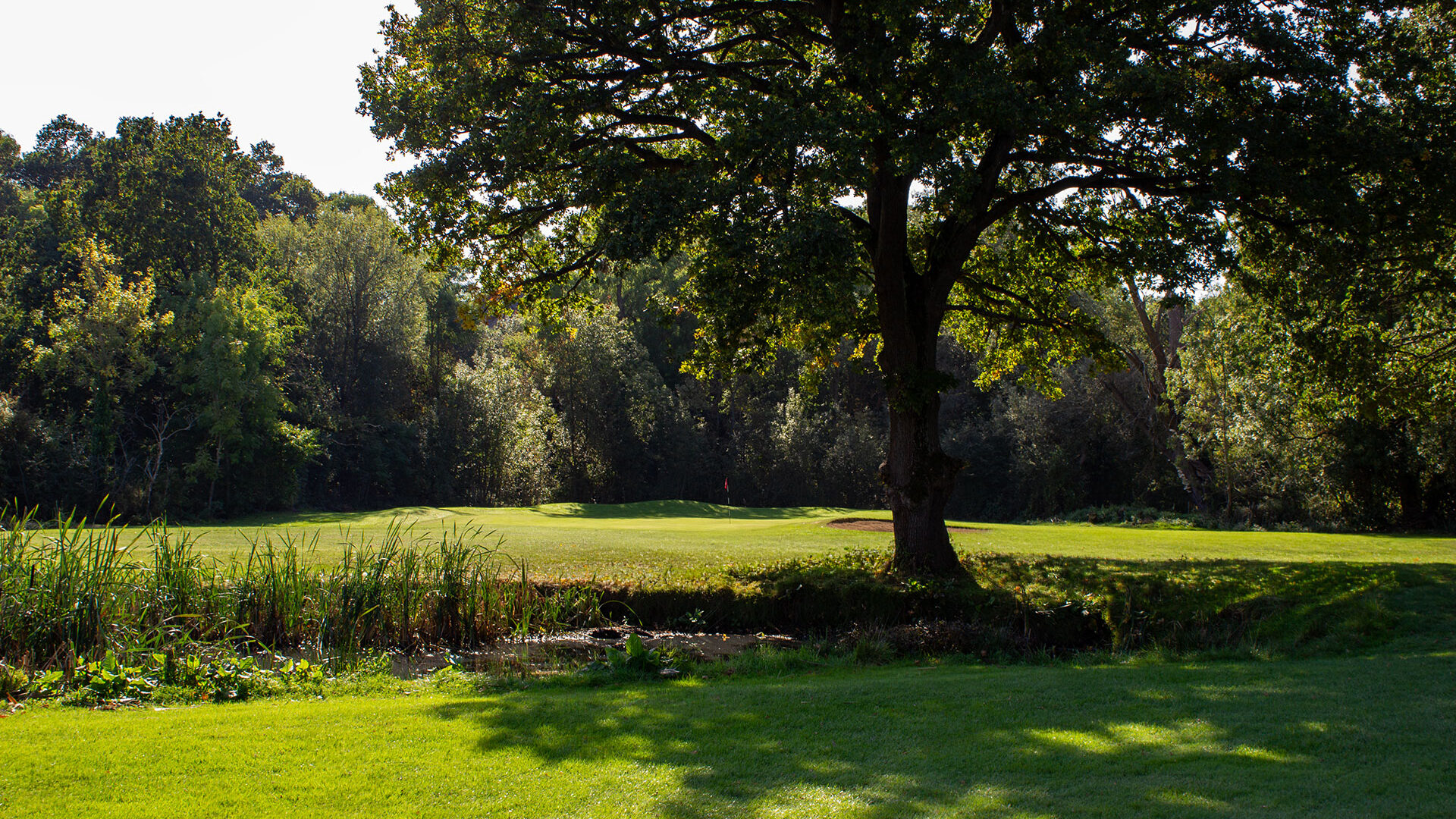 Brent Valley Golf Course Hole 14