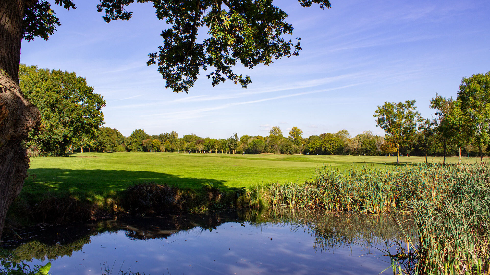 Brent Valley Golf Course Hole 14