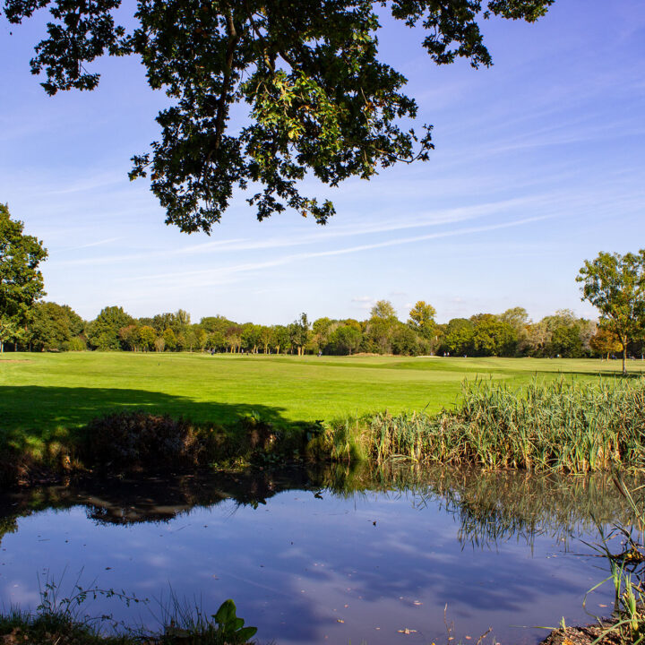 Brent Valley Golf Course Hole 14