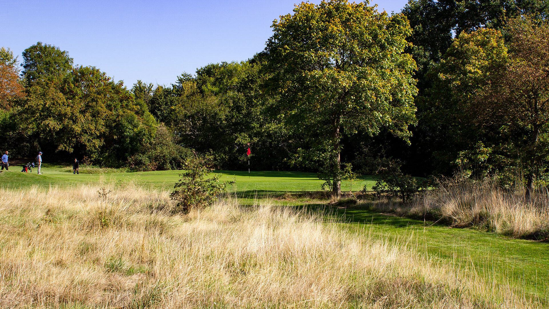 Brent Valley Golf Course Hole 15