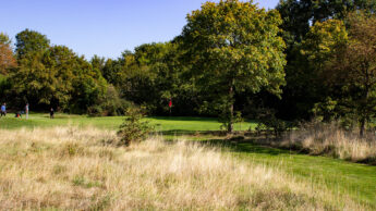 Brent Valley Golf Course Hole 15