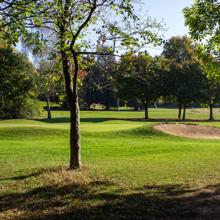 Brent Valley Golf Course Hole 3