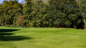 Brent Valley Golf Course Hole 8
