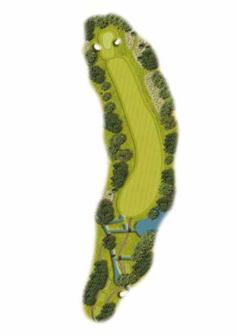 Downshire Golf Complex Hole 11